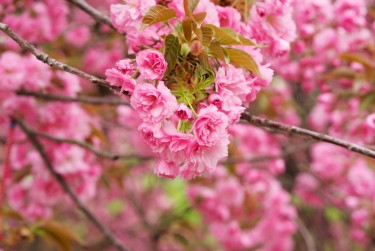 南通如皋9线下个人借款平台一站式服务，轻松解决资金难题