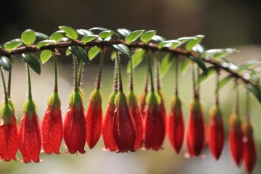 南通如皋9零用贷短借：轻松解决临时资金需求