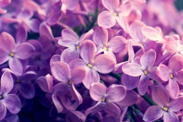 南通如皋9企业急用钱贷款攻略：快速融资解燃眉之急